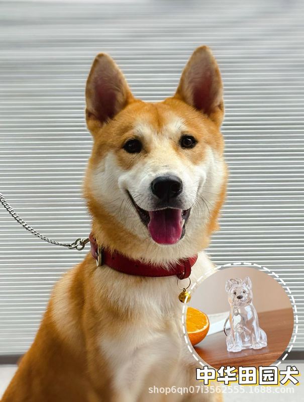 ペット柴犬メカテディカウボーイ刺繍ベレー帽レース子犬かわいいスカーフよだれかけ猫プリンセススタイル|undefined