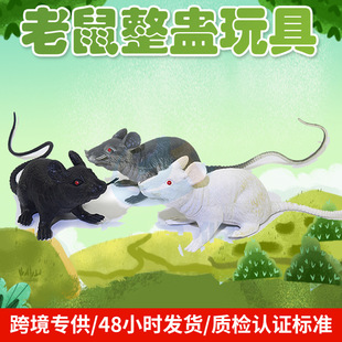 �羳؛Դ�������ģ����� ��������ģ�͕��l�������ģ�����l