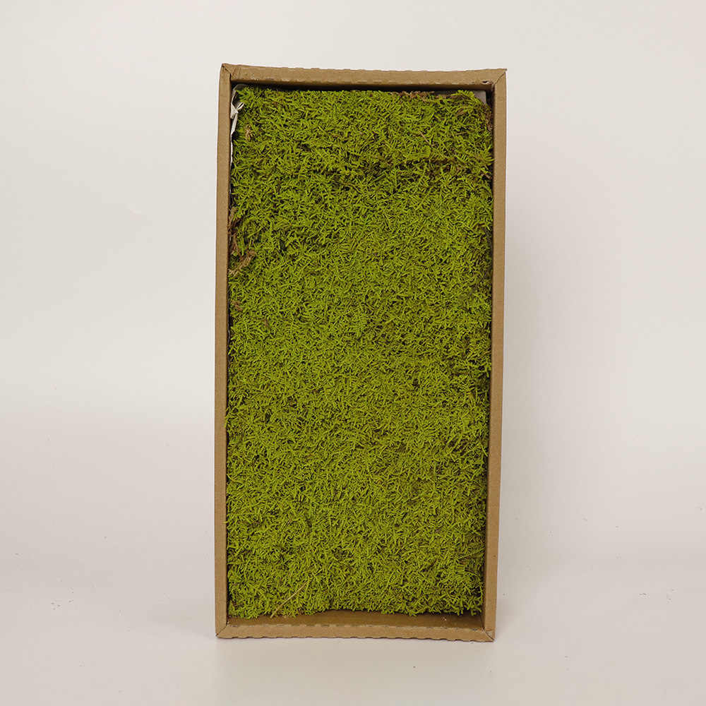 Verde amarillo claro