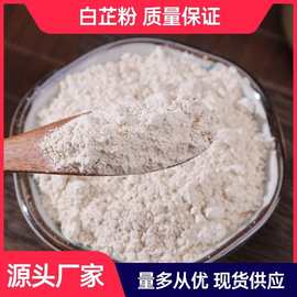 白芷粉 源头工厂批发食用白芷山药粉当归粉丹参粉多种中药材批