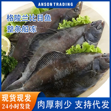 冷冻格陵兰庸鲽鱼比目鱼多宝鱼偏口鱼牙冻海鱼海鲜黑鲽鱼批发厂家