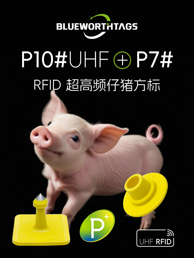 P10#UHF+P7#详情_A.jpg