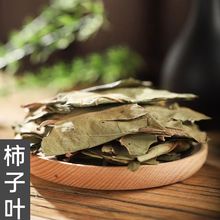 柿子叶中药材 青柿子叶散装霜后柿子叶茶 柿子叶子干柿子叶中草药