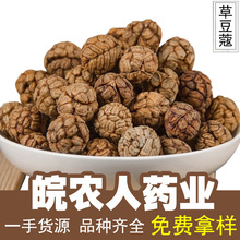 草寇500g草豆蔻草寇仁草扣麻辣烫卤菜香料调料中药材大全代发批发