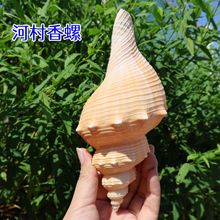 ��Ȼؐ������ �Ӵ����� ��ˇƷ�ҾӔ[�����΅^�ղؼo��Ʒ