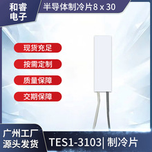 TEC1 TES1-3103 尺寸8*30mm3.7V3A负离子吹风机激光冰敷脱毛仪