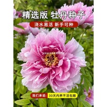 ������ĵ�����N���ļ����������~���ذ�ĵ���ͺ��׻�ĵ������