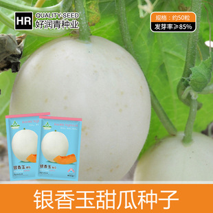 �S�����l�y�����۹ϷN�Ӱ�Ƥ�t���Ƥ���ܹϷN�і|�������ˮ����