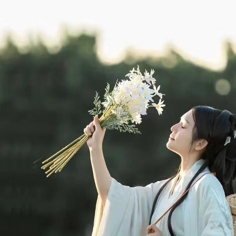 6 dutch chrysanthemums