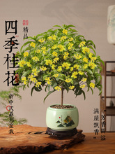 �ļ������Ԙ������������ʽ�辰�����Gֲ�����k���҃�����ֲ��