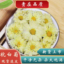 ׾ș500˾x׾վջr؛׾շҰ׾