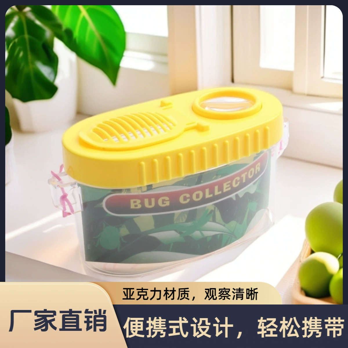 Прямая Заводская лагерная детская коробка для наблюдения за насекомыми, увеличительное стекло, головоломка для исследования на открытом воздухе, поставляется с портативным шнурком