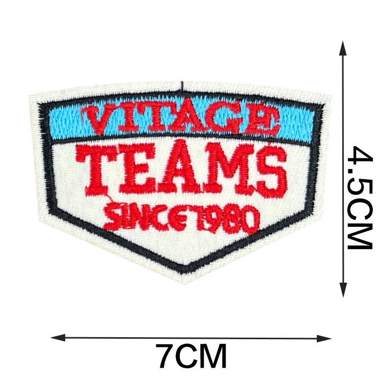 D605W 盾牌TEAMS 0.25.jpg