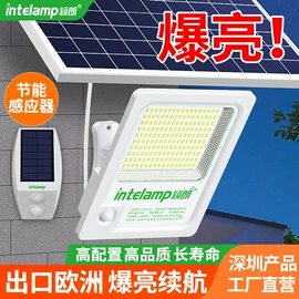 太阳能灯;庭院灯;道路照明灯