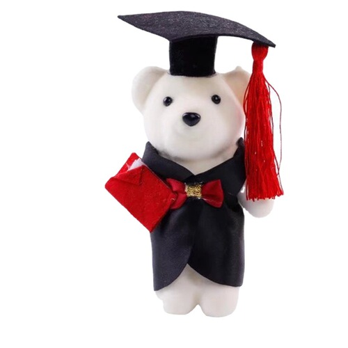 Student Gifts Wholesale Graduation Bear Men and Women Dr. Bear Doll Teacher's Day Gift Cartoon Doll Bouquet
