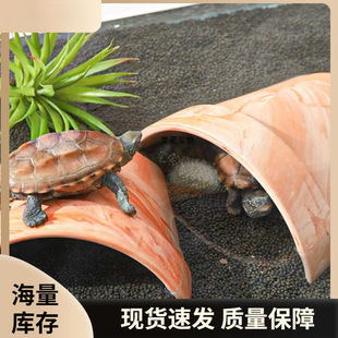 ����������S����ܶ�Ѩ�t����Ƭ������̨���ǿ��������~�����쾰