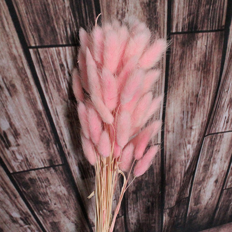 11831892367_511691582