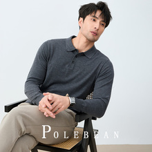 100�d��ë����polo�Iᘿ�����ʿ�����̄����e���Ië�´������