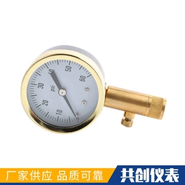 压力表;胎压计;其他气动工具