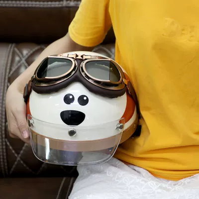 Ha Lei – Auto Parts and Accessories Dog Helmet Electric
