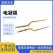 ����19.5cm�p�O���� ��D���� �p�O����