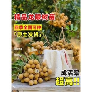 ���ۘ��m�޽�����ˮ�����烦�����Aʯ���Ϸ��ļ��Nֲ���Ԯ���Y��