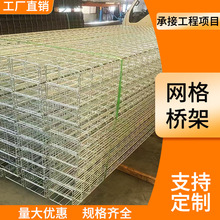 鍍鋅防銹網格電纜橋架熱鍍鋅異形電纜橋架廠家大跨距槽式網格橋架