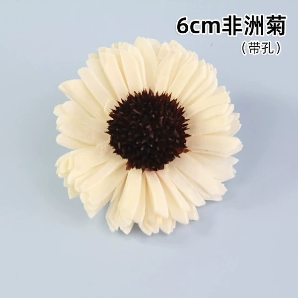 African chrysanthemum (1 flower)