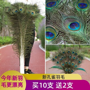 ��ȸ��ë �[���͏d�W�tdiy�����Ʒ����β��ȸë����ë�b�
