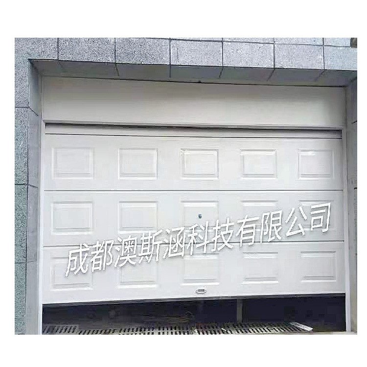 车库门 电动车库门 方格车库门翻版车库门欧式车库门