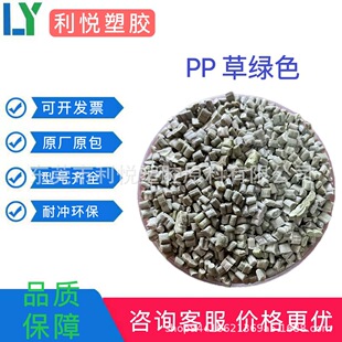 Factory Direct Sales PP Grass Green PP Variegated Christmas Tree Bracket Sheet PP Heel Shoe Material Middle Base Material
