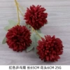 3 Ping Pong Chrysanthemum-Red