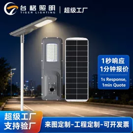 太阳能灯;庭院灯;路灯