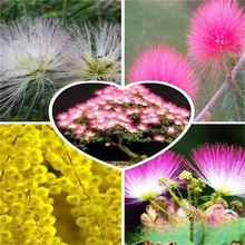 ²ɺϚgN ۺϚgN tϚgN ϚgN qN