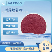 ѩɏ���B�� С������ɽѩɏ���� �F؛ ѩɏ���B��� �{�S����