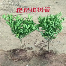 ��Ҋ�ҰҸ̘������ڼ޽����ΰҸ̳��ٳ�̹�����������ͥԺ�Nֲ