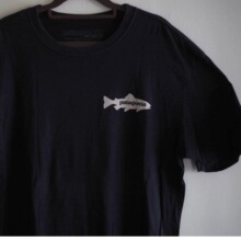 ������ϵ����fish�~��ĸӡ�����s�������e�\�����¶�����Ů��Ht