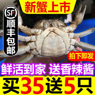 �з�M�S��ĸ�����SС�з�r��һԪзëз�����з0.3�����l����