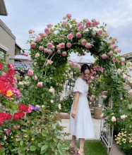 һlɫ_¼ٱļ_󻨝Nޱ