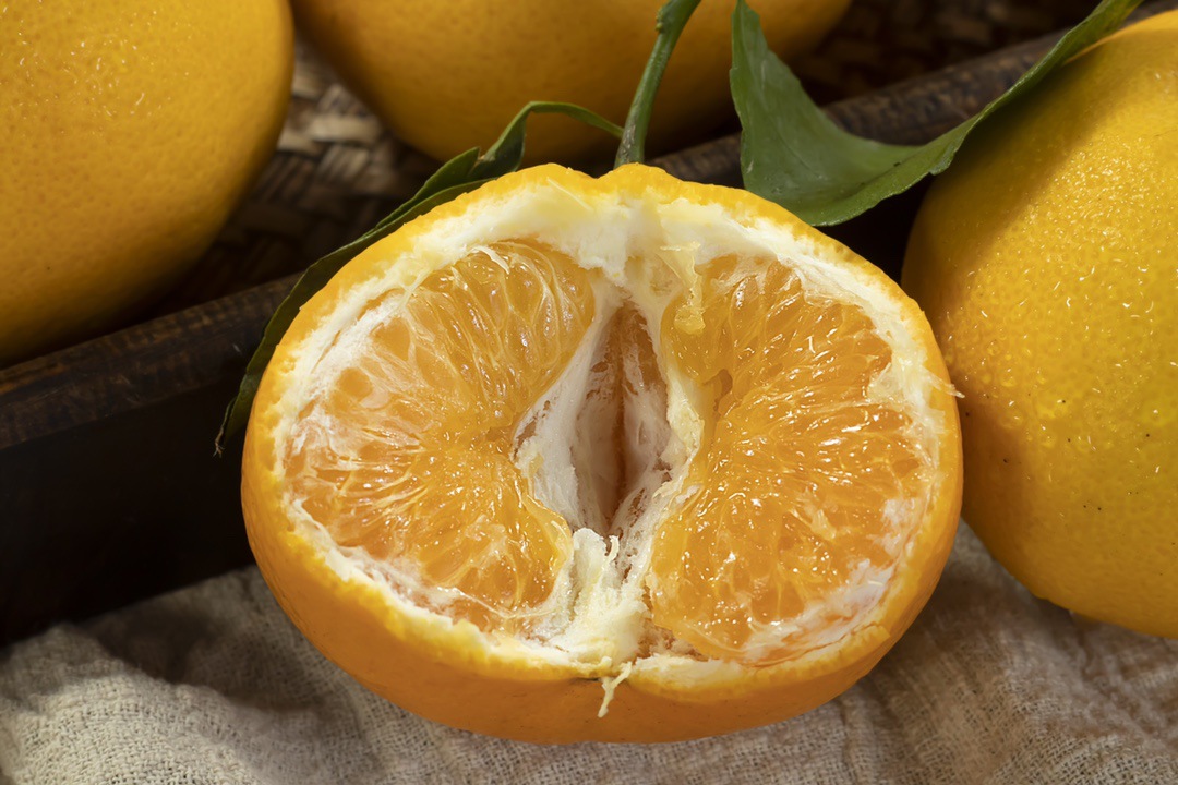 微信图片_20251126074919_325_10