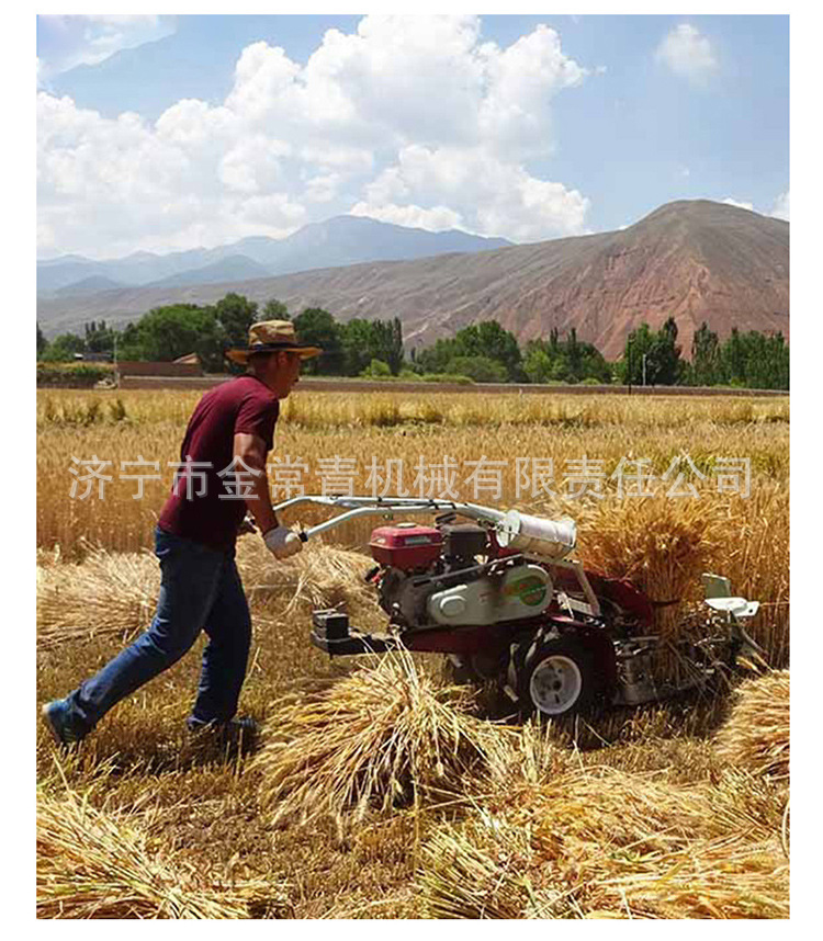 割捆機(jī)詳情_07