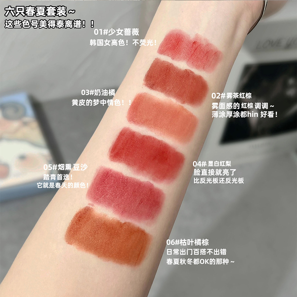 DIXI Little Lamb Miao Miao Matte Lip Gloss Set, 6-color velvet matte Lip gloss, Whitening Orange Brown, versatile for women wholesale Application Scenario