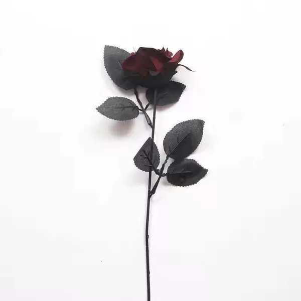 Dark Red Rose 2