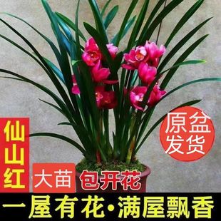 m绨ļ_҃ȾGֲܾƷmīmmB