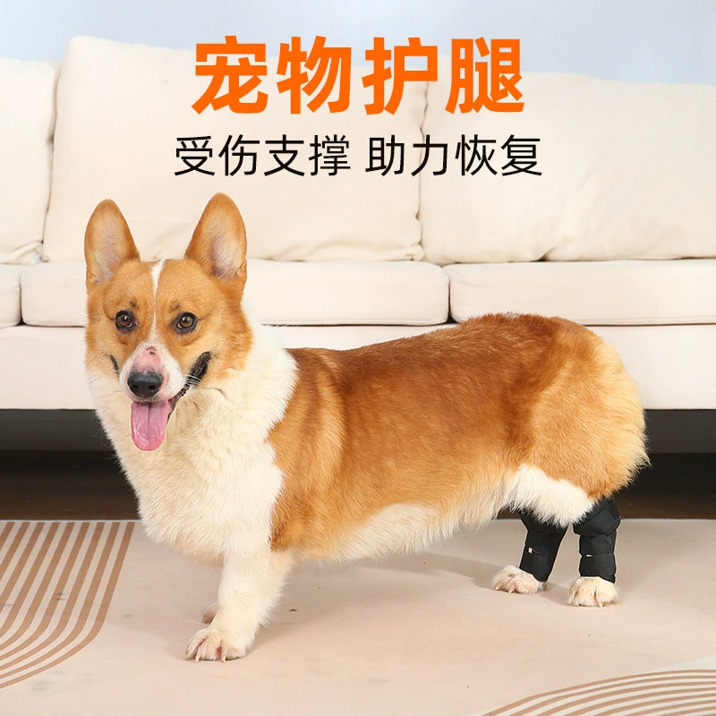 Трансграничный протектор для ног для домашних животных Защитник колен для собак Послеоперационное восстановление для домашних животных Защитник для ног Хирургия для собак Протектор для ног