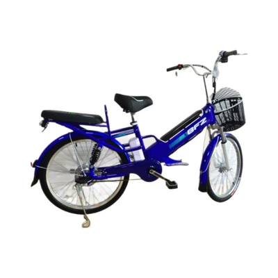 Electric Motorcycle, Elektrikli motosikletlər