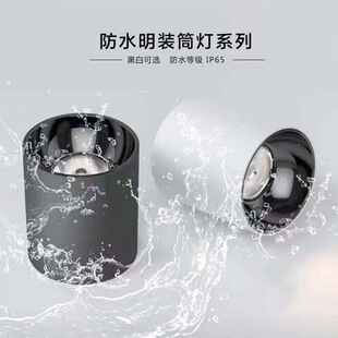 TRIACȫ�XIP65��ˮ���bͲ�������̨����ԡ�ґ����ˮ���F�����