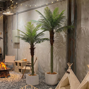 ���͸߶˷���Gֲᘿ��͏d������Լ�Ҭ�Ә�Ꭷ����ֲ���쾰�٘�