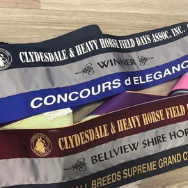 织带;绳子类;松紧带