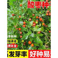 ᗗNᗗ˷NӗӷNӗNͥԺ